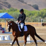 Kaitlin Veltkamp and Flashpoint D (Open Preliminary Rider) 5th place