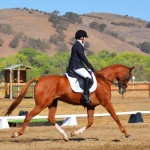 Natalie Kuhny and Case Closed II (Sonoma Saddle Preliminary Rider Championships) 6th place